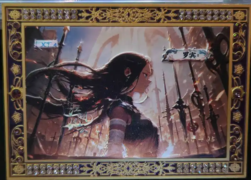 One Piece - Nico Robin