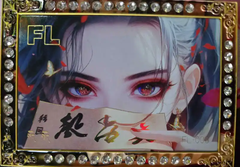 One Piece - Nico Robin